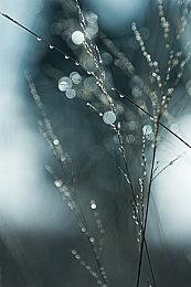 城市建造模拟即时战术游戏《地狱：亡者之地的城市建造者》现已推出试玩Demo